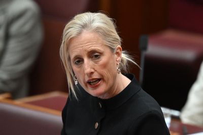 Australian government could explore using AI for cabinet submissions despite security concerns