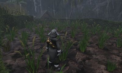 How to get Cooked Rice in Enshrouded