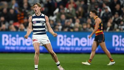 'We don't need set stand down rule': AFL chief