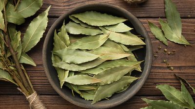 I tried this trick to banish kitchen odors using a popular herb — and it actually works