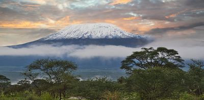 75% of Kilimanjaro’s natural plants have been wiped out – and climate change isn’t the biggest threat