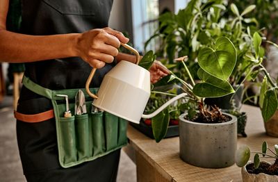 The Foolproof Way to Keep Potted Plants Alive All Winter