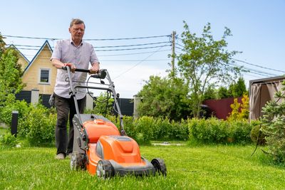How to Mow and Mulch for a Perfect Lawn Come Spring