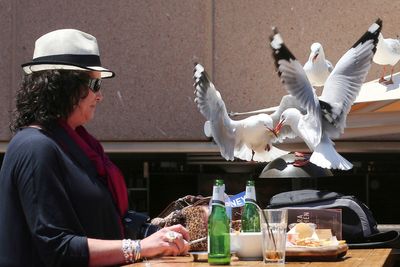 Food-snatching seagulls are more likely to leave you alone if you shout at them, researchers say