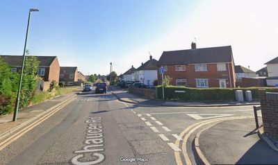 Kitten killed after being thrown from moving car in south London