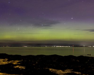 Greens and independents line up to condemn Liberals’ net zero decision – as it happened