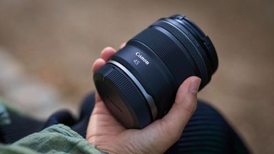 Within half a day of preorders opening, Canon Japan announced a shortage of the RF 45mm f/1.2 STM. Here's why this budget-priced fast prime lens is so popular