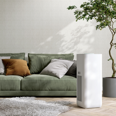 I found a huge secret stash of dehumidifiers on sale at Debenhams – including £80 off one of Ideal Home's top-rated models