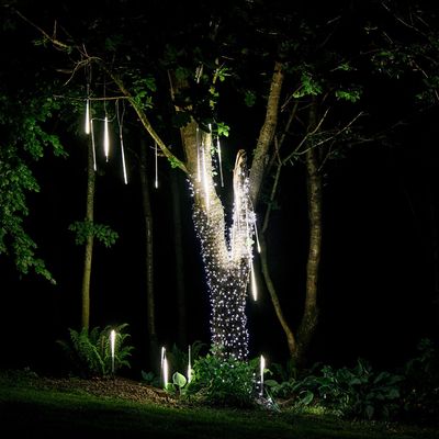 I want my garden to glow for Christmas so I asked the experts how to light my trees properly and easily
