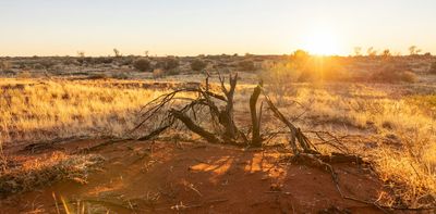 Why Jane Harper’s ‘outback noir’ novels make for comfortable – and uncomfortable – reading