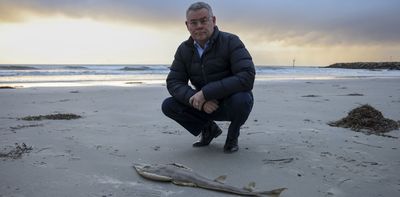 Politics with Michelle Grattan: Murray Watt on the compromises to pass new environmental laws before Christmas