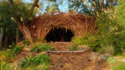 Wicked Is Influencing Our Interiors – Cynthia Erivo's Magical Woodland Retreat, Available on Airbnb, Is the Perfect Place for Inspiration