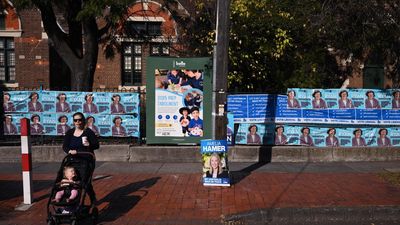 'Crossed a line': election volunteers plead for changes