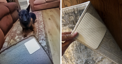 20 Products Under $20 To Solve All Those Annoying Little Problems That Drive You Insane