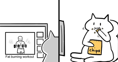 29 Comics By Xibang Starring A Cat Who Is Honest, Dramatic, And Absolutely Unbothered