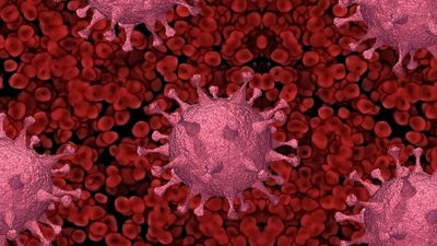 Silent Killer Infections Surge: Superbug Deaths Soar 17% in England — Here's How to Protect Yourself