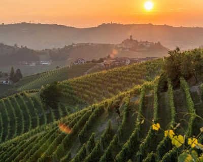 Think autumn, think Piedmont – wine from ‘the foot of the mountain’