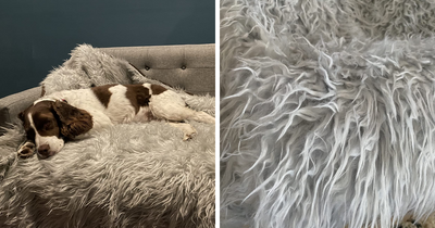 21 Viral Products The TikTok Algorithm Is Basically Forcing Us All To Buy