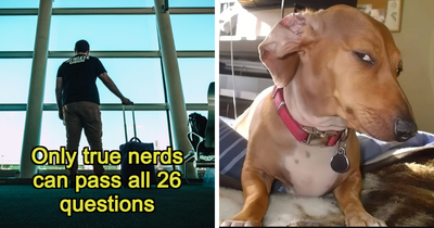 “Which Of These Is False?”: 26 Facts That Will Make You Second-Guess Everything