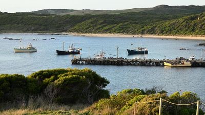 Australian economy 'island of security' in risky seas