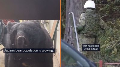 A man in his 70s went into the woods for mushrooms and vanished. When police found him, his scratch marks told a horrifying story