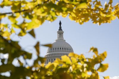 Forty-two days: how the US shutdown unfolded in key moments