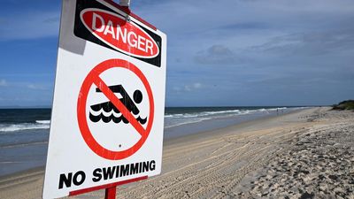 Beach flags, warnings confuse international visitors