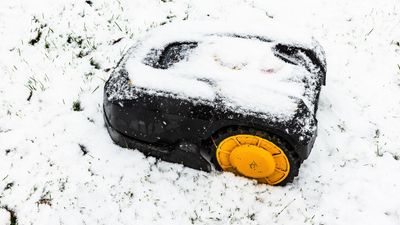 How to safely store your robot lawn mower for the winter — expert tips