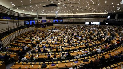 EU parliament votes to dilute landmark rules holding corporations accountable