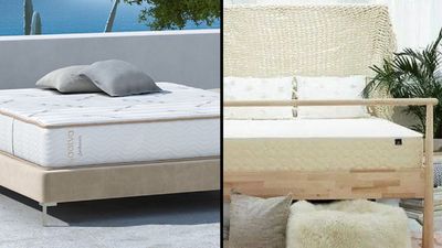 Saatva Zenhaven vs WinkBed EcoCloud: Which is the better all-natural latex mattress?