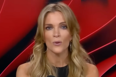 Megyn Kelly slammed for questioning if Jeffrey Epstein was really a pedophile: ‘He was into the barely legal type’