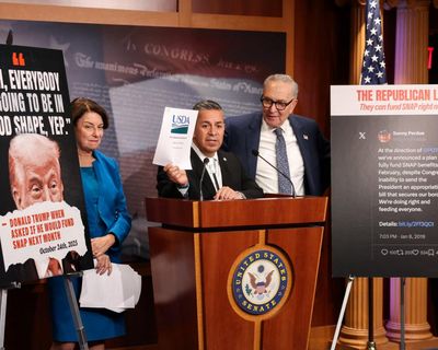 Republicans are regimented. Democrats are undisciplined. Just look at the shutdown