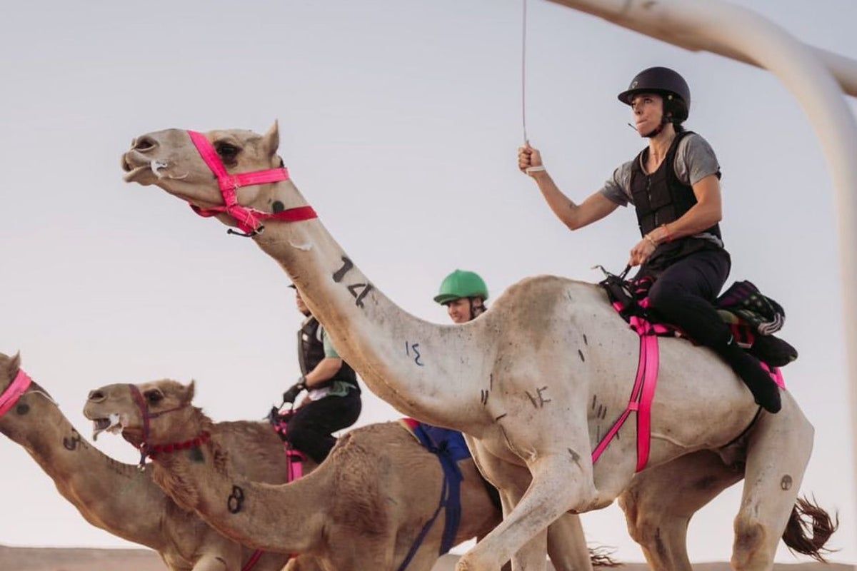 Blue Camel Rider ‘I became a pro camel rider at 40. Here’s why it…