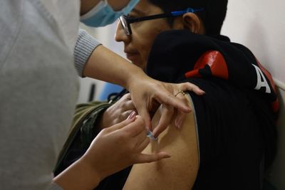 Yellow fever and dengue cases surge in South America as climate crisis fuels health issues