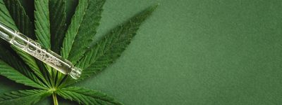 4 Cannabis Stocks Log Momentum Gains Even As Congress Re-Criminalizes Some THC Products In Spending Bill