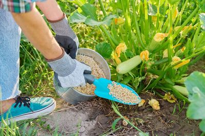 Why Over-Fertilizing Kills More Plants in Fall