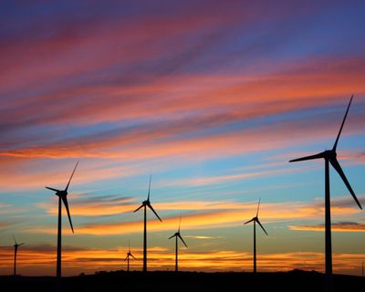 Facebook community groups and maggot-infested rats: the inner workings of Australia’s climate misinformation war