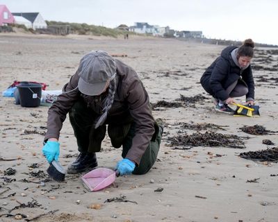 Plastic beads spreading on Sussex coast after ‘catastrophic’ spill, meeting told