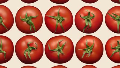 Ingenious new Heinz ads reinvent the tomato