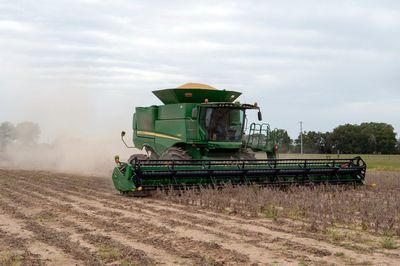 There's still 'no evidence' China is buying all the U.S. soybeans it promised under Trump's trade deal amid oversupply from South America