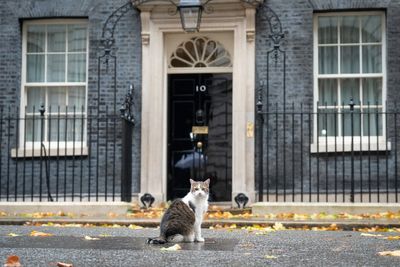 No wonder Downing Street’s in chaos – you can’t even get a decent phone signal, say ex-No 10 staffers
