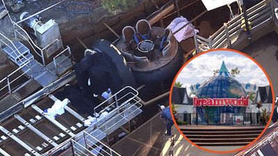 4 theme park guests were dragged into machinery and crushed in an unsafe rapids ride. EMTs on scene needed counseling afterwards