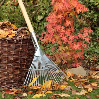 Gardeners are being warned against putting wet leaves in this 1 place – it could cost you a flourishing garden next year