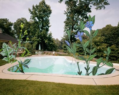 Pity the fool who owns a pool. It’s like having a large, delicate, expensive pet