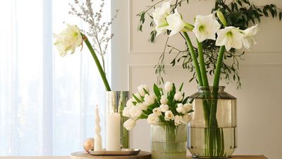 It’s Not Too Late to Grow Your Own Festive Floral Centerpiece – 7 Blooms You Can Grow Indoors in just Six Weeks