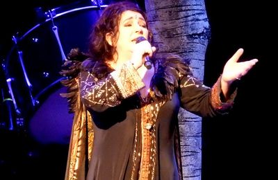 Kate Bush sent 'cool, unique' gift to Stranger Things showrunners