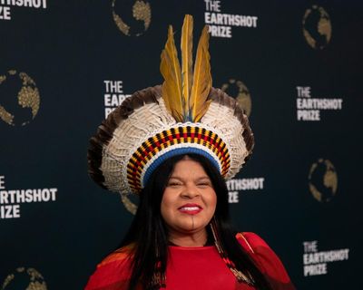 Indigenous lands must be recognised as part of climate policy, says Brazilian minister
