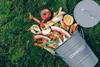 8 Compost Additives Perfect for Fall Breakdowns