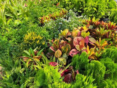 How Groundcovers Protect Soil Through Autumn