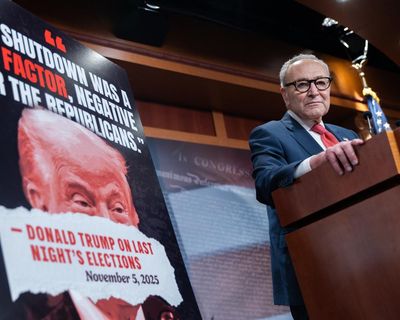 Chuck Schumer should quit – but would his imaginary friends agree?